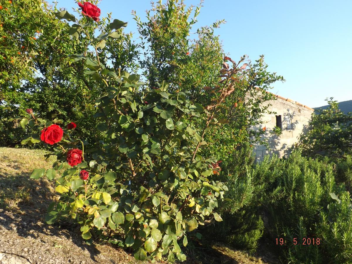 Ferienwohnung Raj Kotor Exterior foto